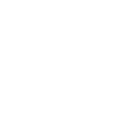 GEEK OF CHIC®